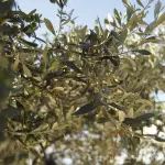 Le tappe più curiose di un viaggio in Puglia